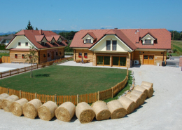 Ilovnati ometi, stuccolustro