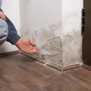 Damp-Walls-After-Water-Damage
