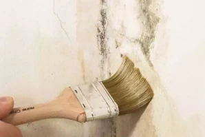 sanacija plesni 300x200