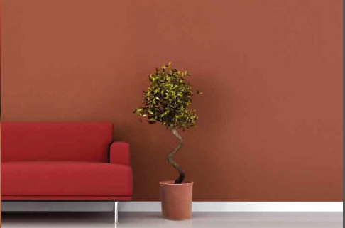 dekorativni ilovnati omet